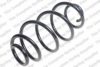 ROC CS8053 Coil Spring